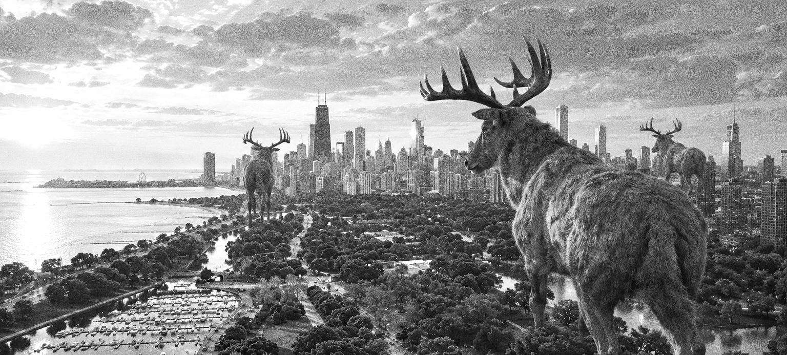 PES Motion Studio animation: giant deer over the Chicago skyline and Lincoln Park